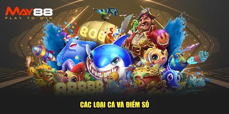 Cách chơi bắn cá ăn xu hiệu quả tại May88