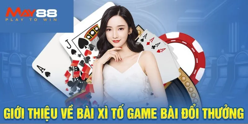 Xì Tố Là Gì? Chi Tiết Luật Chơi Chuẩn Tại May88